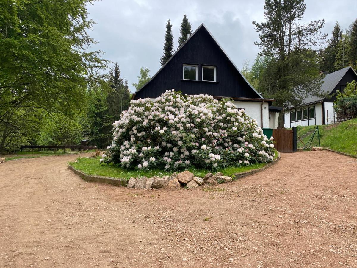 Villa Geisingblick Esterno foto